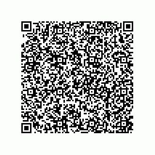 vCard 79210053933