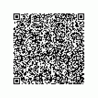 vCard 79210053974