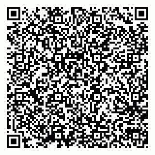 vCard 79210201733