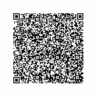 vCard 79211001539