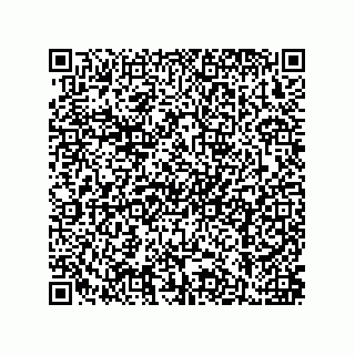 vCard 79211002339