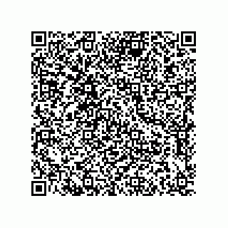 vCard 79211003839