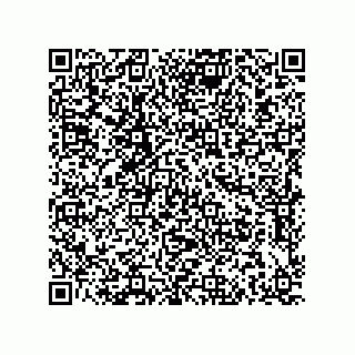vCard 79211008739