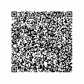 vCard 79211019804
