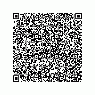 vCard 79211032073