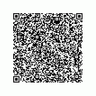 vCard 79211032381