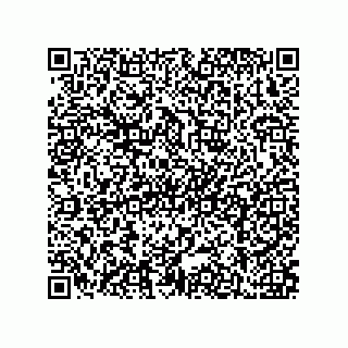 vCard 79211033173
