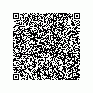 vCard 79211033251