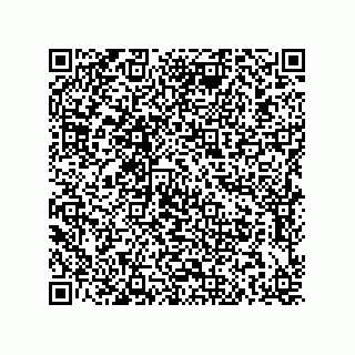 vCard 79211033621