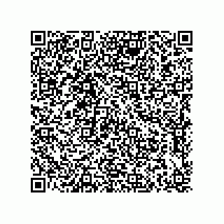 vCard 79211038399