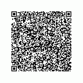 vCard 79211039371