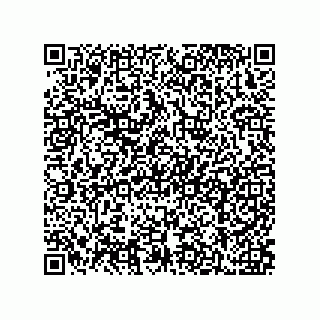 vCard 79211039376
