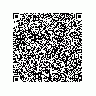 vCard 79211039733