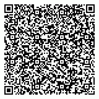 vCard 79211203199