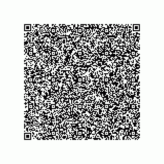 vCard 79213684795