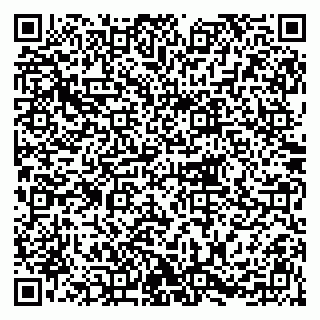 vCard 79215200378