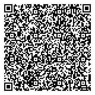 vCard 79215203329