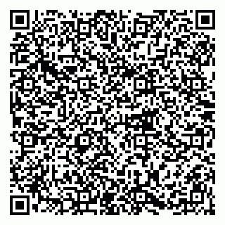 vCard 79215203783