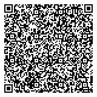 vCard 79215203908