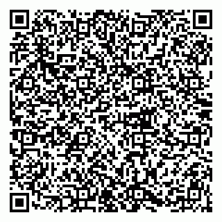 vCard 79215204080