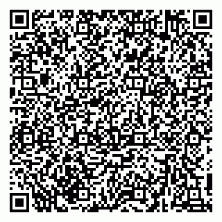vCard 79215204213