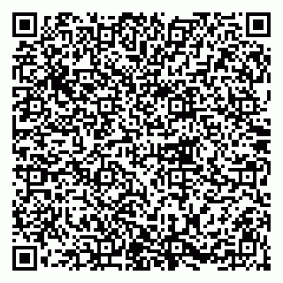 vCard 79215204313