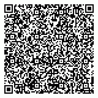 vCard 79215205377