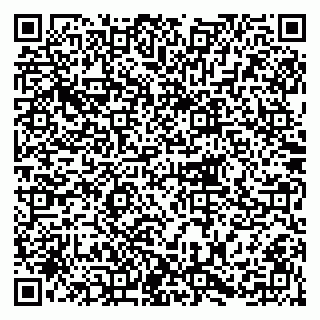 vCard 79215207387
