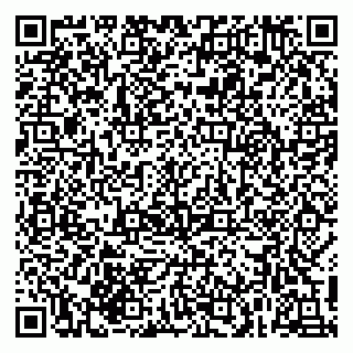 vCard 79215207811