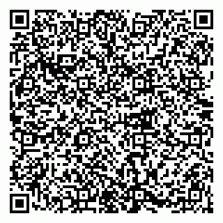 vCard 79215208103