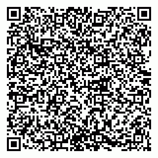 vCard 79215208273