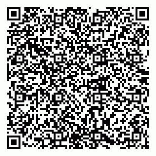 vCard 79215208385
