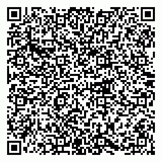 vCard 79215209087