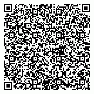 vCard 79215209377