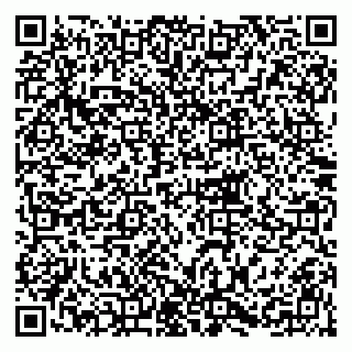 vCard 79215209399