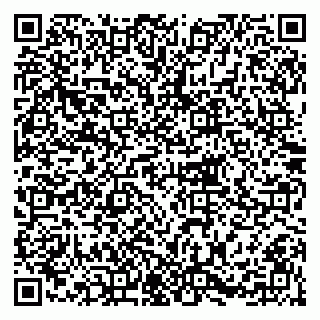 vCard 79215209407