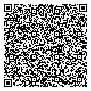 vCard 79215227729