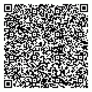 vCard 79215229376