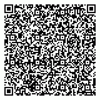 vCard 79215233408