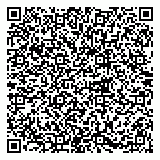 vCard 79215240203