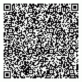 vCard 79215240217