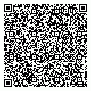 vCard 79215240384
