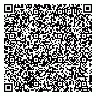 vCard 79215240398