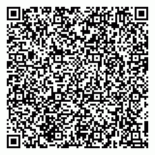 vCard 79215263296