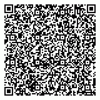 vCard 79215272383