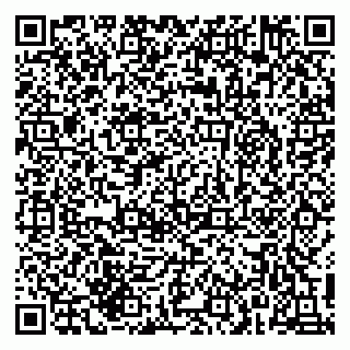 vCard 79215275903
