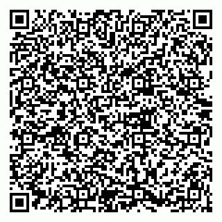 vCard 79215278013