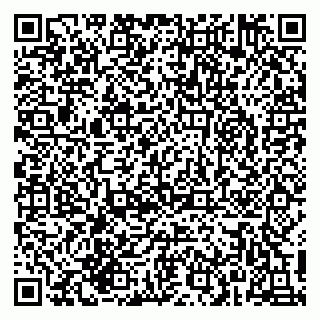 vCard 79215278403