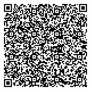 vCard 79215279043