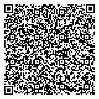 vCard 79215279375
